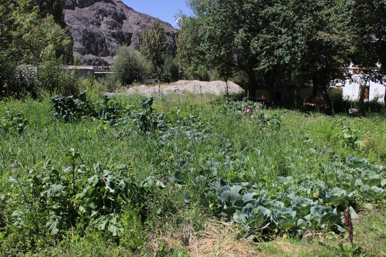 Sernang Homestay Hundar Dış mekan fotoğraf
